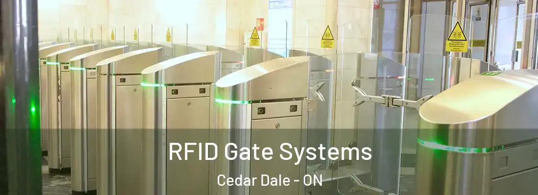  RFID Gate Systems Cedar Dale - ON