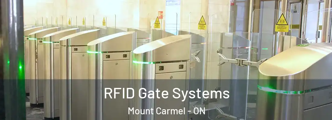  RFID Gate Systems Mount Carmel - ON
