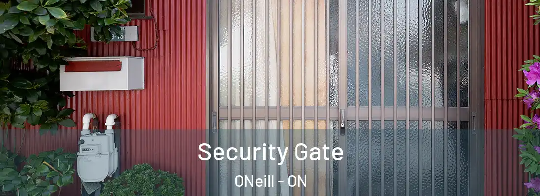  Security Gate ONeill - ON