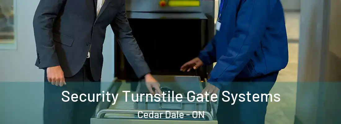  Security Turnstile Gate Systems Cedar Dale - ON