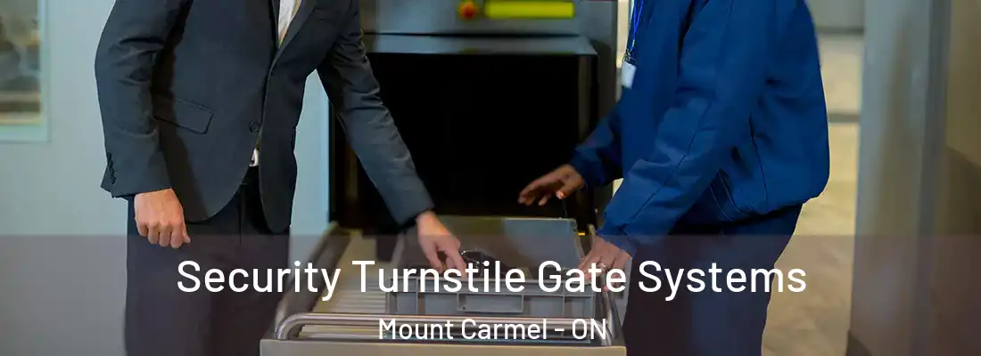  Security Turnstile Gate Systems Mount Carmel - ON