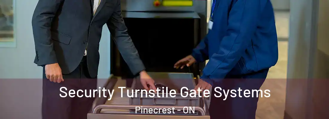  Security Turnstile Gate Systems Pinecrest - ON