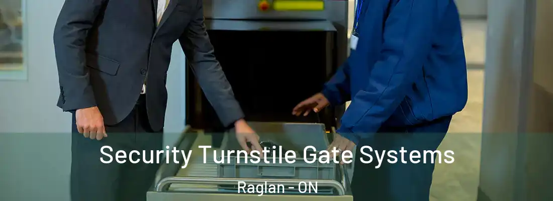  Security Turnstile Gate Systems Raglan - ON