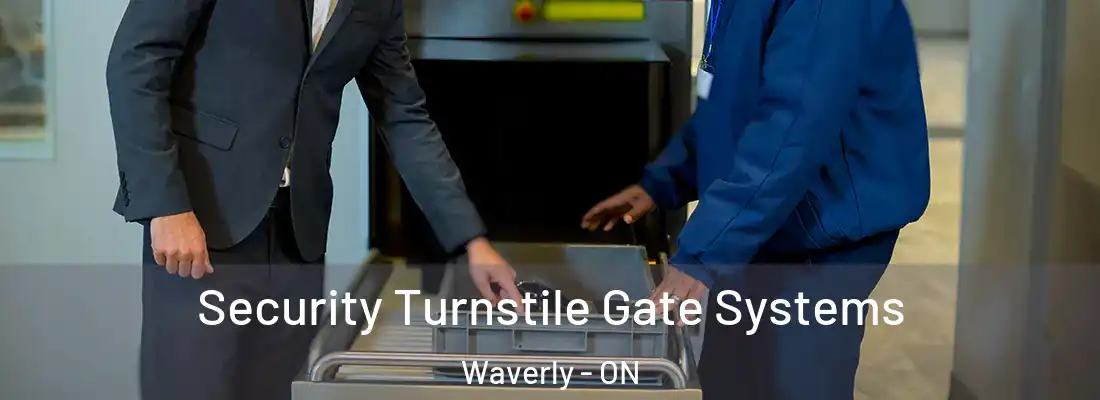  Security Turnstile Gate Systems Waverly - ON
