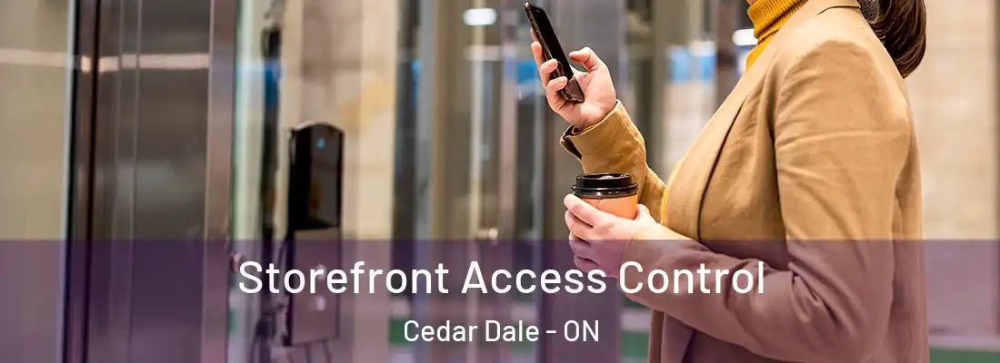  Storefront Access Control Cedar Dale - ON
